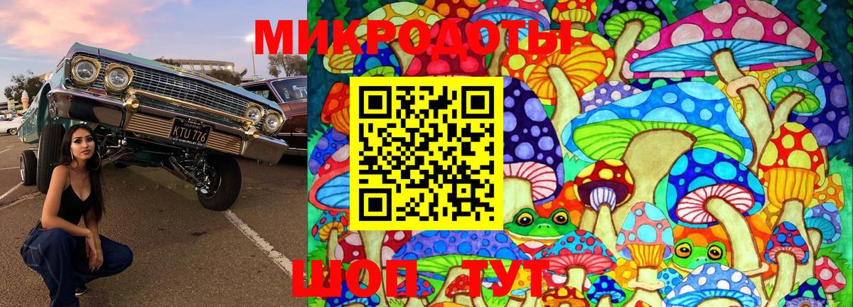 Псилоцибиновые грибы Cubensis Лянтор